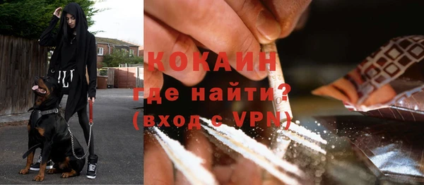 сатива Елабуга
