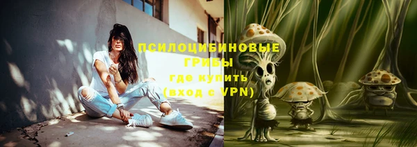 хмурый Дмитров