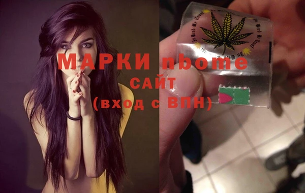 стаф Дмитровск
