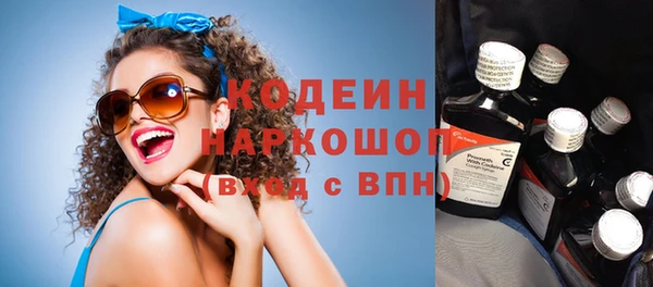 сатива Елизово