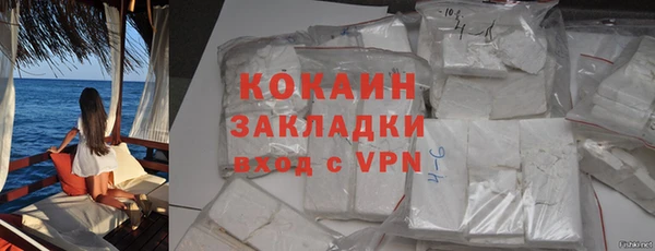 сатива Елабуга