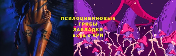 кокаин перу Дмитриев