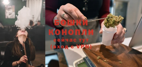 хмурый Дмитров