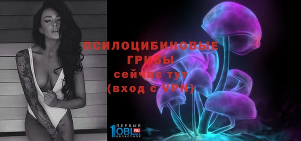 сатива Елабуга