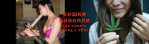 сатива Елизово