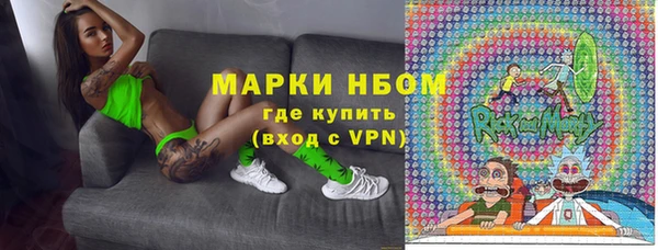 сатива Елабуга