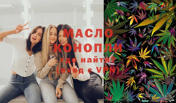 сатива Елизово