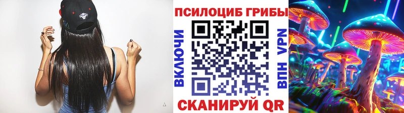 Купить закладки Чапаевск Галлюциногенные грибы ЛСД